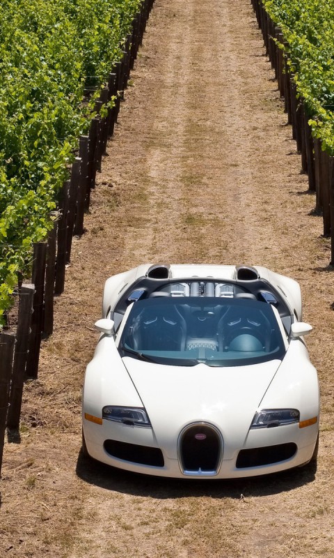 Bugatti-Veyron-Pozadia-na-plochu