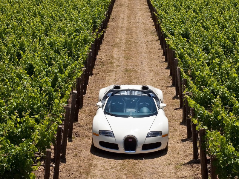 Bugatti-Veyron-Pozadia-na-plochu
