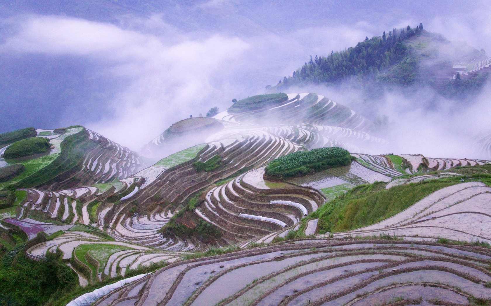 China-04
