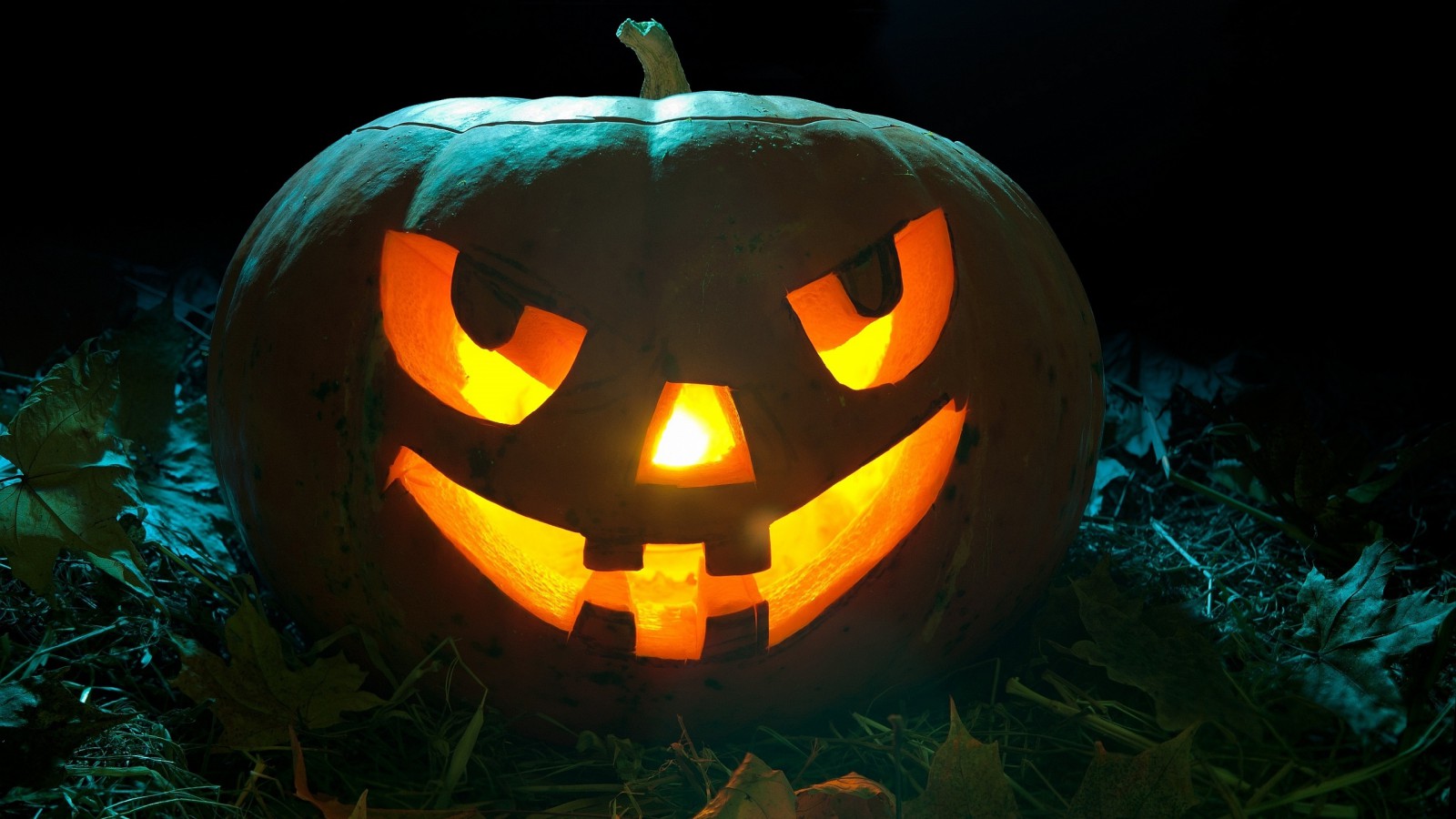 Halloween-Pumpkin-2560×1600-dusicky-obrazky-na-plochu-dyna