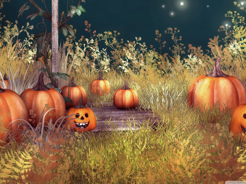 halloween_pumpkins-wallpaper-2560×1600-dusicky-obrazky-na-plochu